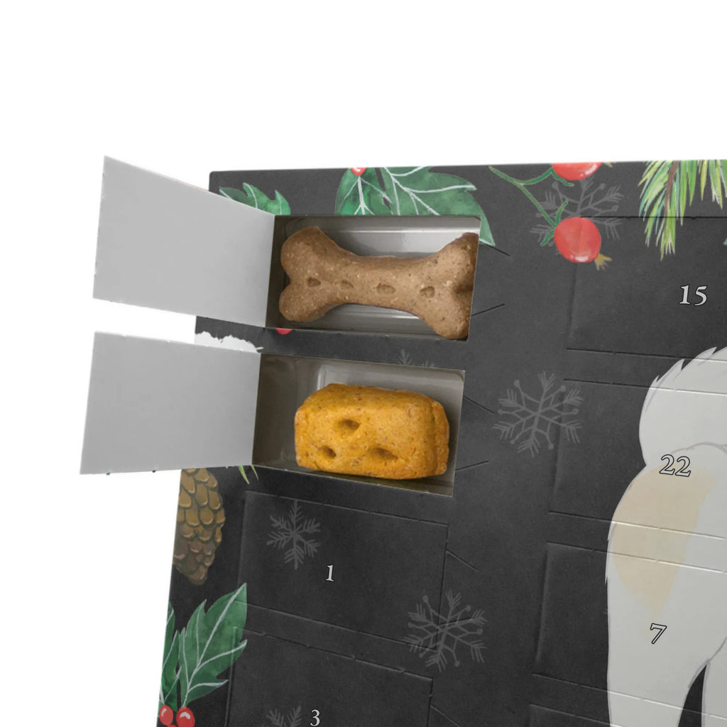 Personalisierter Hunde Adventskalender Thai Bangkaew Moment Hunde Adventskalender, Geschenk, Schenken, Hund, Hunderasse, Rassehund, Hundebesitzer, Tierfreund, Welpe, Thai Bangkaew Dog
