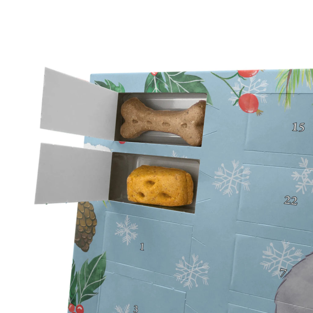 Personalisierter Hunde Adventskalender Bearded Collie Moment Hunde Adventskalender, Geschenk, Schenken, Hund, Hunderasse, Rassehund, Hundebesitzer, Tierfreund, Welpe, Britischer Hütehund, Bearded Collie