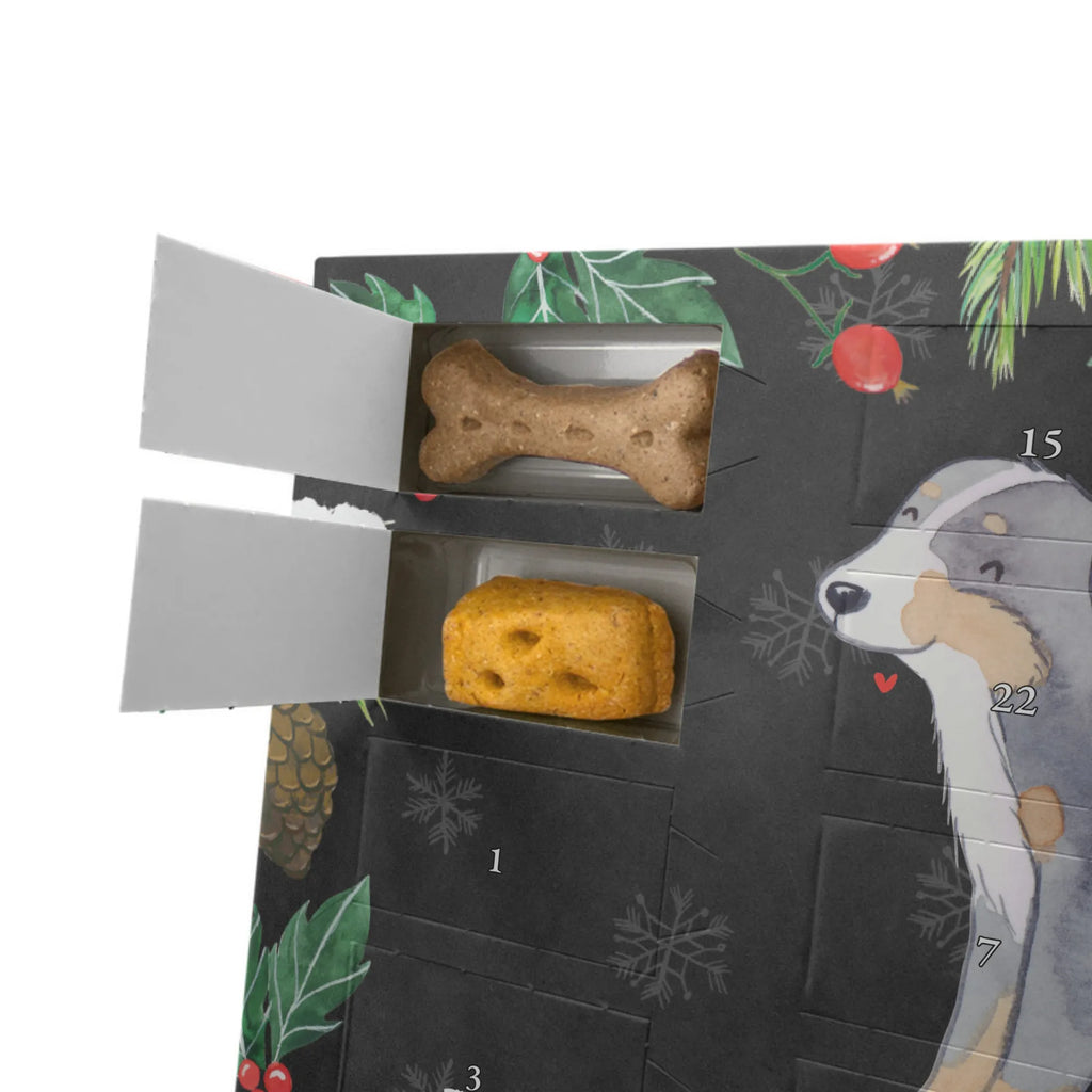 Dog advent calendar Bernese Mountain Dog Moment Christmas, Pets, Christmas Calendar, Dogs Advent Calendar, 2019, Calendar, Dog, dog breed, purebred dog, dog owner, gift, animal lover, giving, puppy