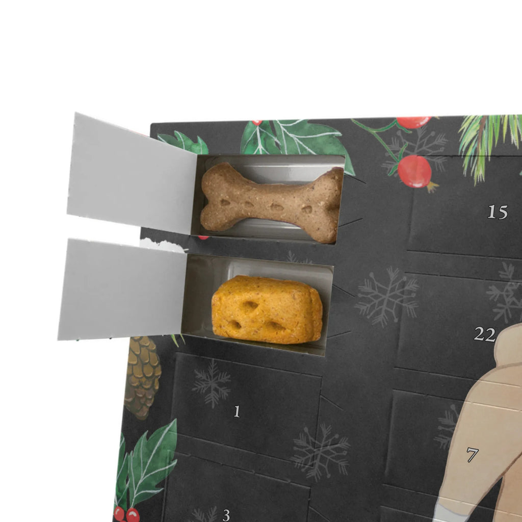 Hunde Adventskalender Basenji Moment Adventskalender für Hunde, Kalender, Hunde Adventskalender, Weihnachtskalender, Geschenk, Schenken, Hund, Hunderasse, Rassehund, Hundebesitzer, Tierfreund, Welpe, Basenji, Kongo-Terrier