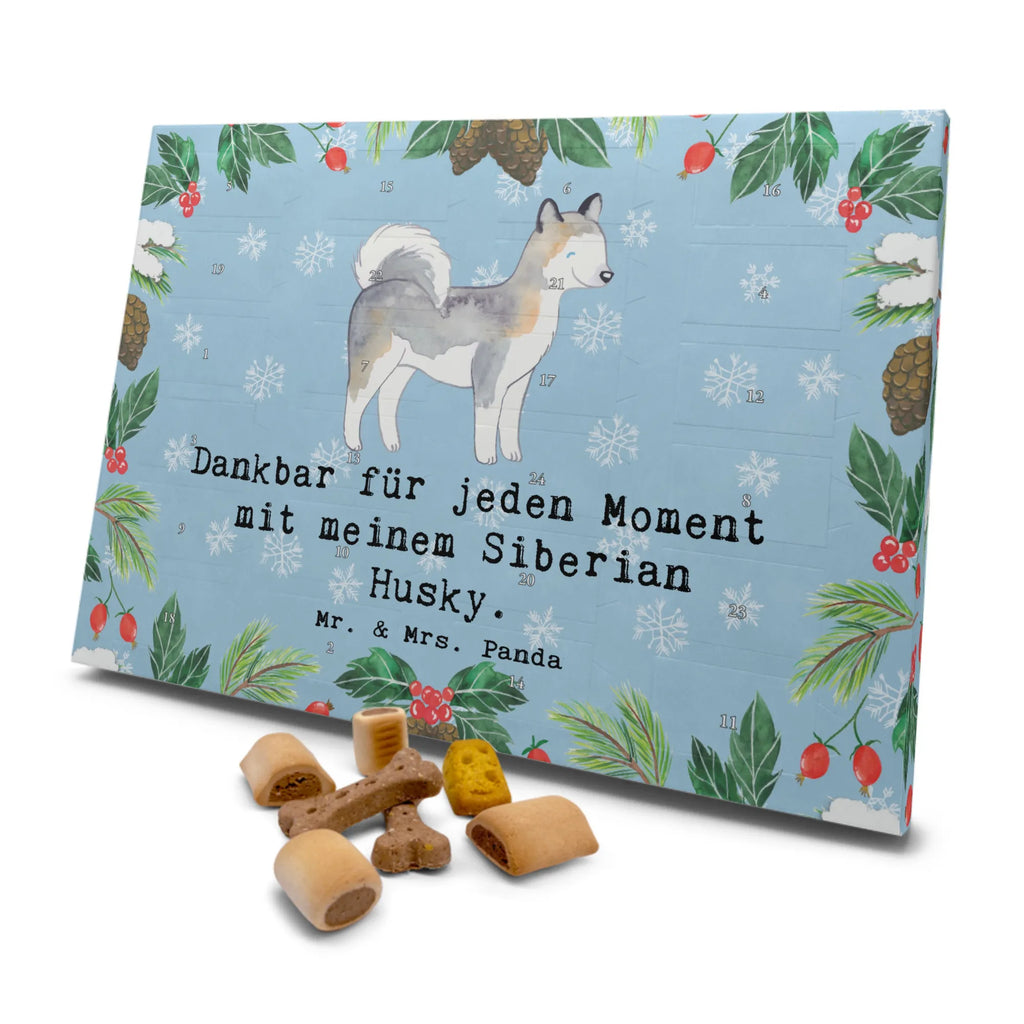 Hunde Adventskalender Siberian Husky Moment Hunde Adventskalender, Kalender, Adventskalender für Hunde, Weihnachtskalender, Geschenk, Schenken, Hund, Hunderasse, Rassehund, Hundebesitzer, Tierfreund, Welpe, Siberian Husky
