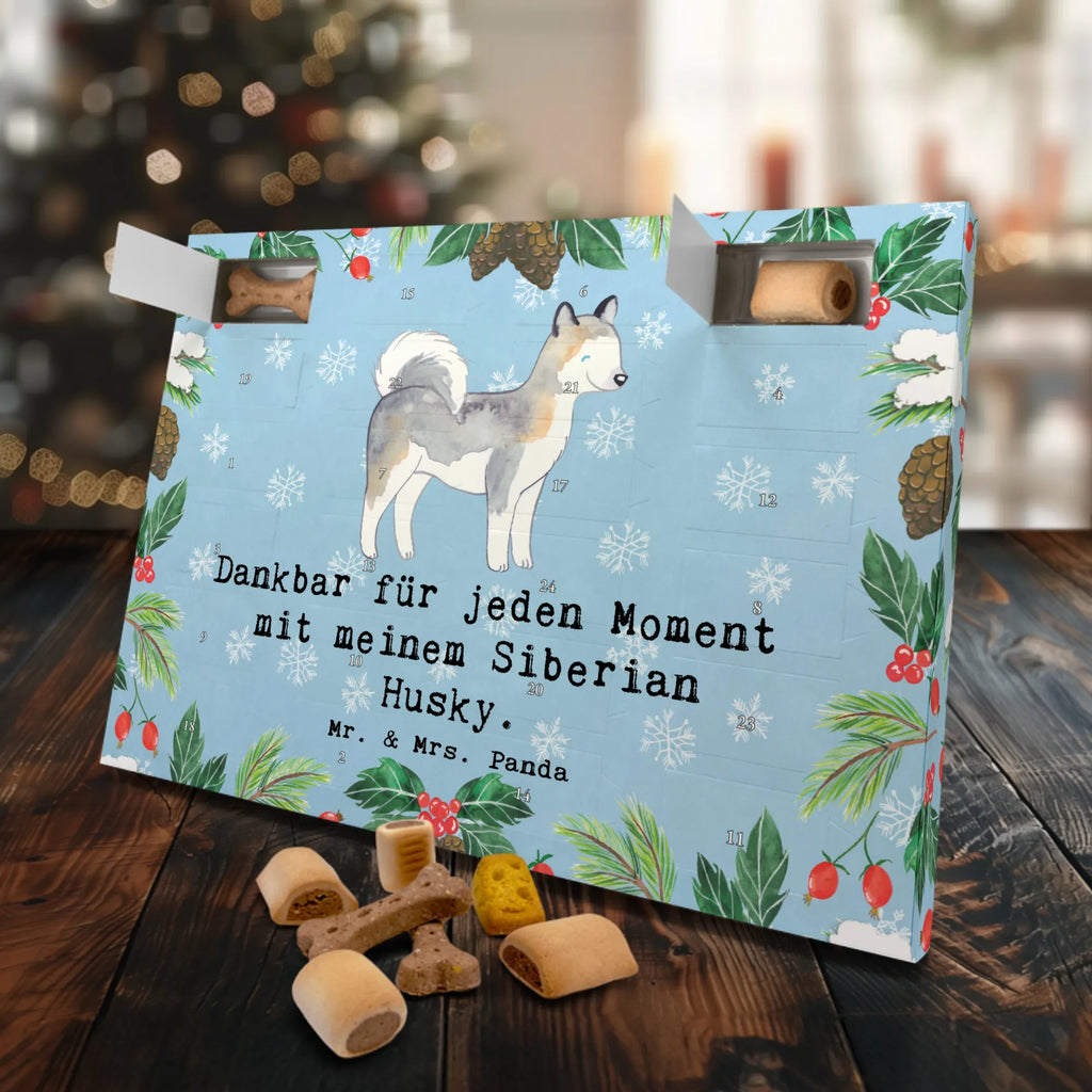 Hunde Adventskalender Siberian Husky Moment Hunde Adventskalender, Kalender, Adventskalender für Hunde, Weihnachtskalender, Geschenk, Schenken, Hund, Hunderasse, Rassehund, Hundebesitzer, Tierfreund, Welpe, Siberian Husky
