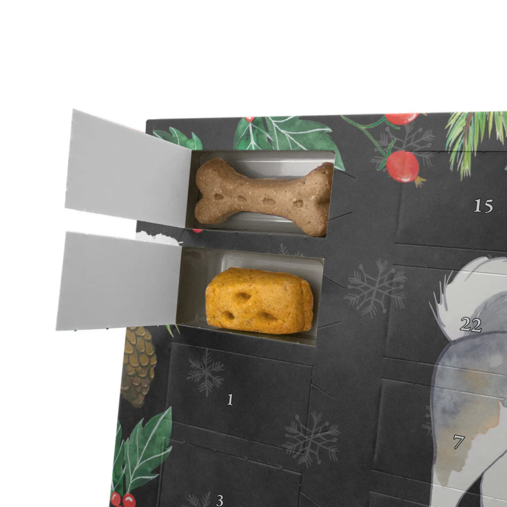 Hunde Adventskalender Siberian Husky Moment Hunde Adventskalender, Kalender, Adventskalender für Hunde, Weihnachtskalender, Geschenk, Schenken, Hund, Hunderasse, Rassehund, Hundebesitzer, Tierfreund, Welpe, Siberian Husky
