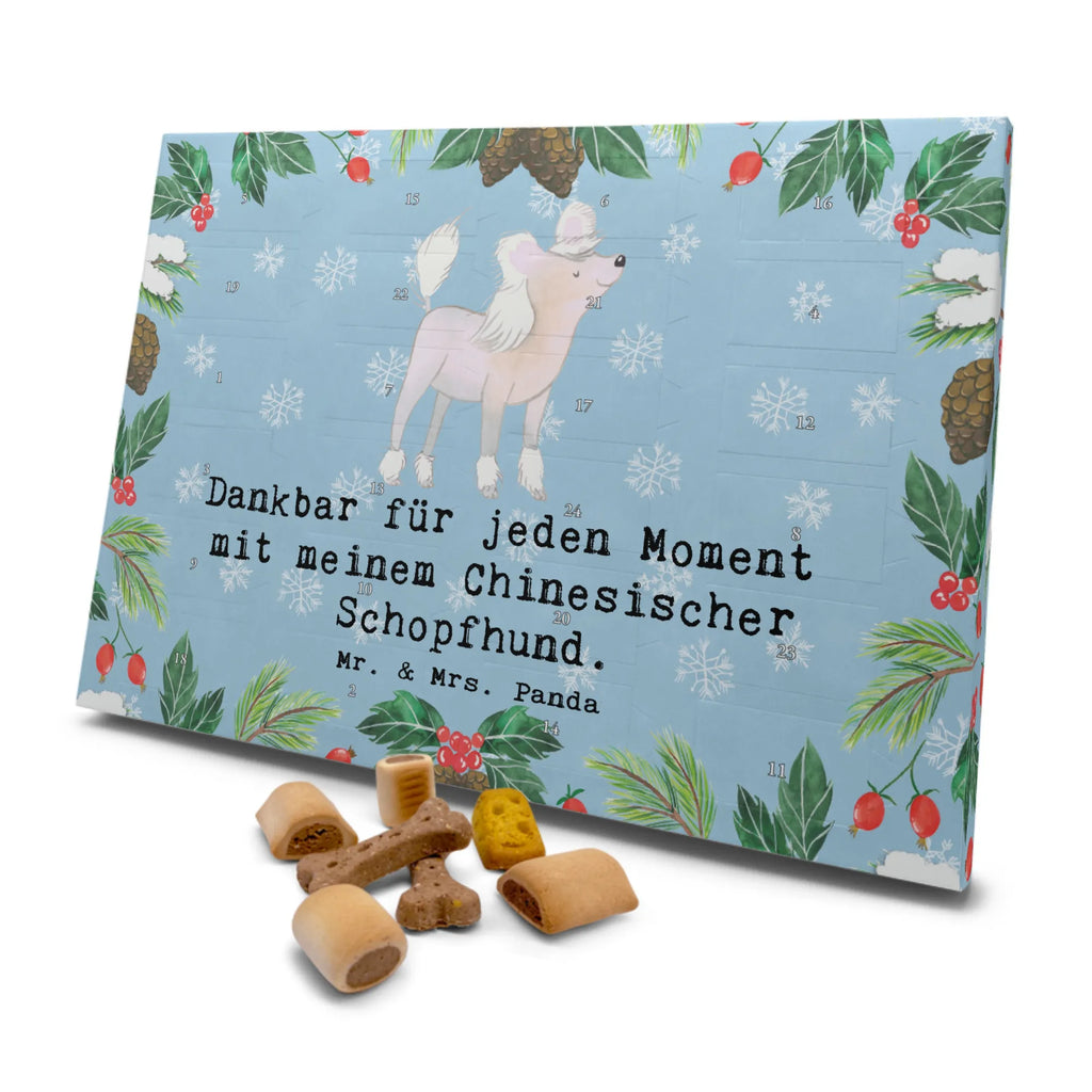Hunde Adventskalender Chinesischer Schopfhund Moment Kalender, Adventskalender für Hunde, Weihnachtskalender, Hunde Adventskalender, Geschenk, Schenken, Hund, Hunderasse, Rassehund, Hundebesitzer, Tierfreund, Welpe, Chinese Crested Dog, Chinesischer Schopfhund