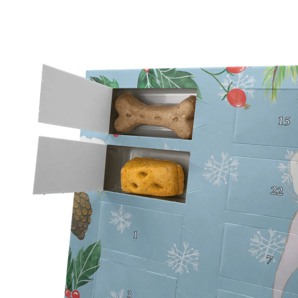 Hunde Adventskalender Chinesischer Schopfhund Moment Kalender, Adventskalender für Hunde, Weihnachtskalender, Hunde Adventskalender, Geschenk, Schenken, Hund, Hunderasse, Rassehund, Hundebesitzer, Tierfreund, Welpe, Chinese Crested Dog, Chinesischer Schopfhund