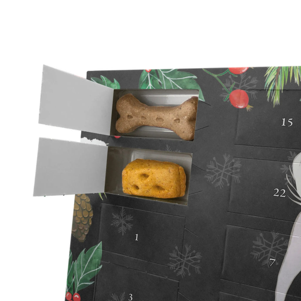 Hunde Adventskalender Chinesischer Schopfhund Moment Kalender, Adventskalender für Hunde, Weihnachtskalender, Hunde Adventskalender, Geschenk, Schenken, Hund, Hunderasse, Rassehund, Hundebesitzer, Tierfreund, Welpe, Chinese Crested Dog, Chinesischer Schopfhund