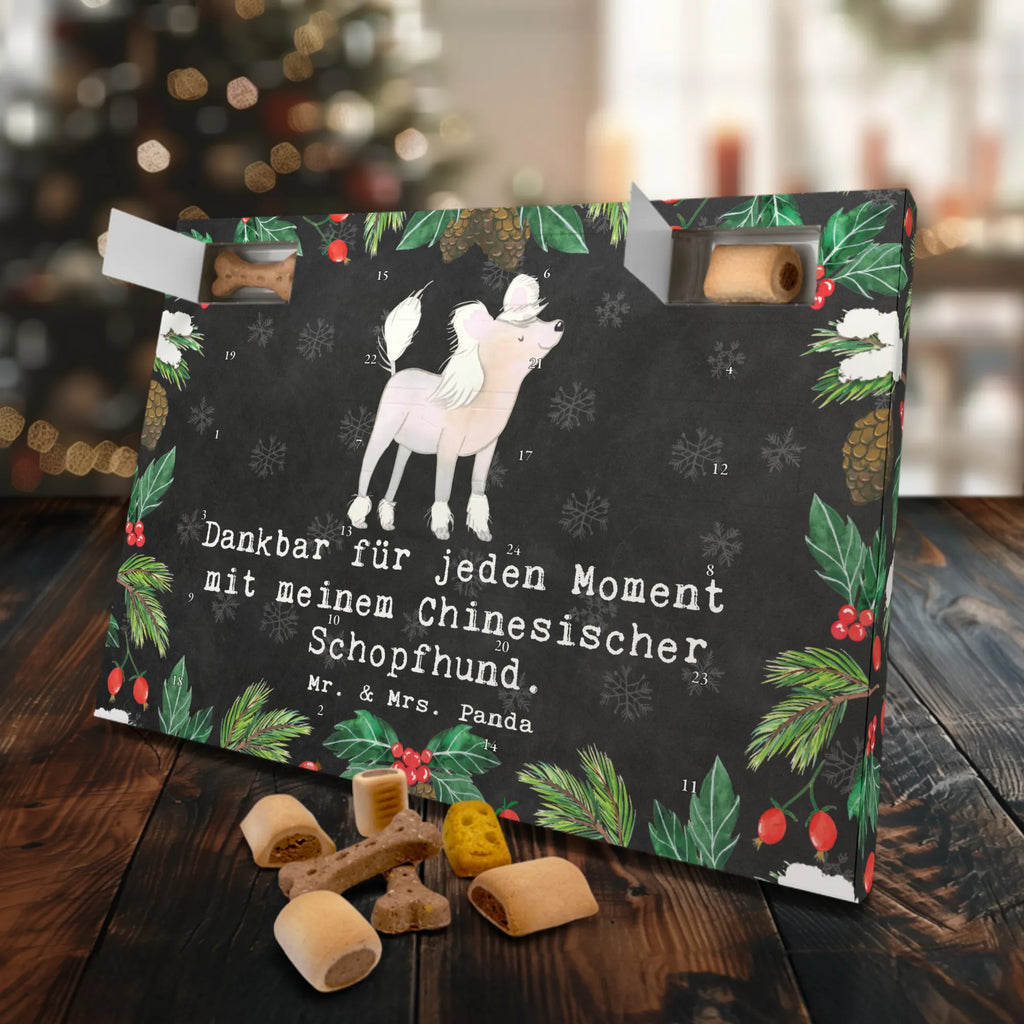 Hunde Adventskalender Chinesischer Schopfhund Moment Kalender, Adventskalender für Hunde, Weihnachtskalender, Hunde Adventskalender, Geschenk, Schenken, Hund, Hunderasse, Rassehund, Hundebesitzer, Tierfreund, Welpe, Chinese Crested Dog, Chinesischer Schopfhund