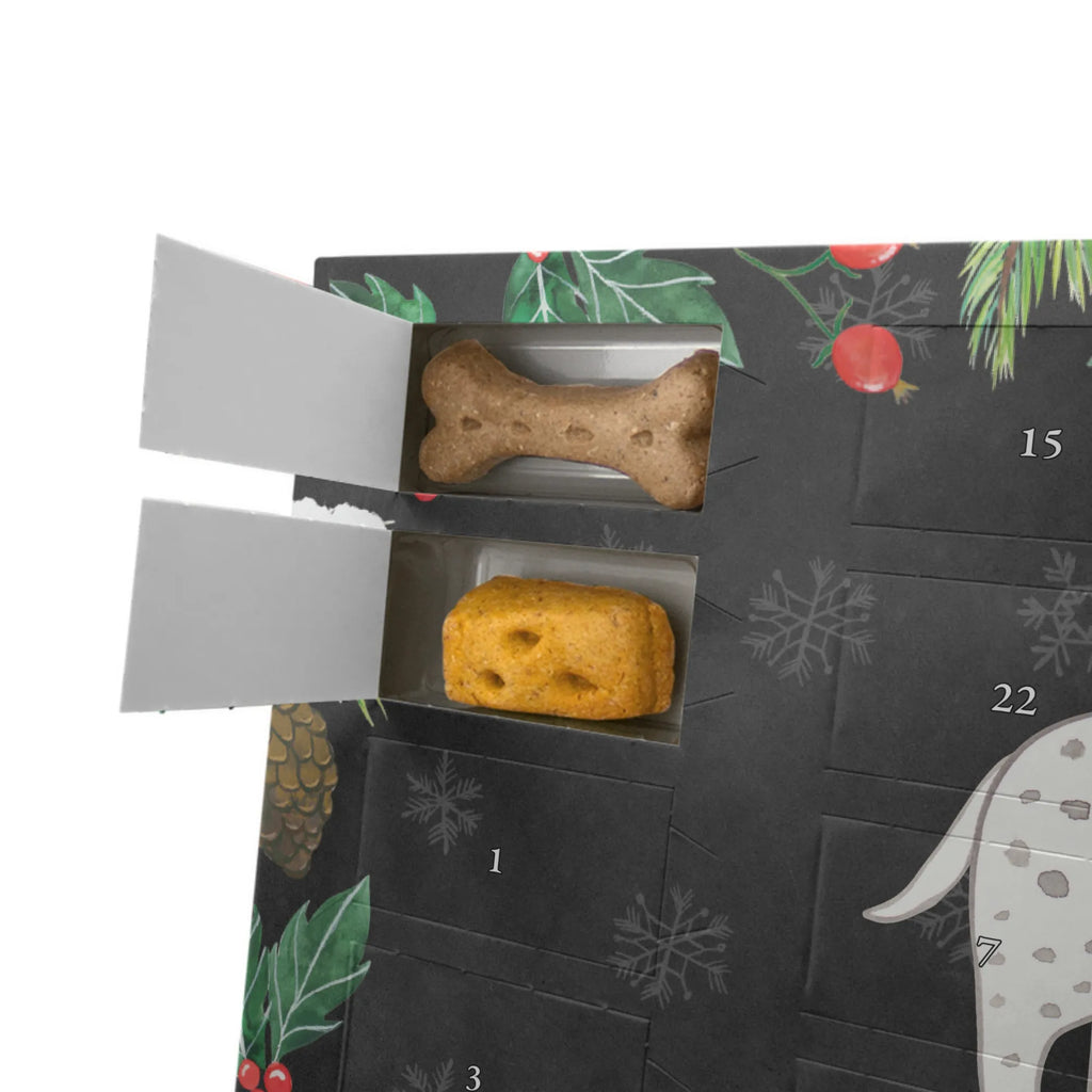 Hunde Adventskalender Dalmatiner Moment Weihnachtskalender, Kalender, Hunde Adventskalender, Adventskalender für Hunde, Geschenk, Schenken, Hund, Hunderasse, Rassehund, Hundebesitzer, Tierfreund, Welpe, Dalmatinac, Dalmatiner