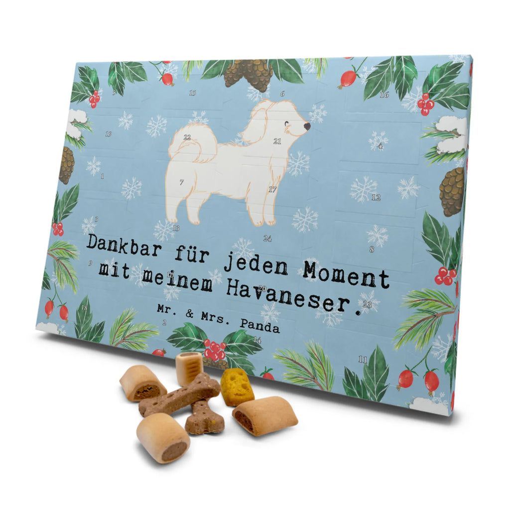 Hunde Adventskalender Havaneser Moment Hunde Adventskalender, Kalender, Adventskalender für Hunde, Weihnachtskalender, Geschenk, Schenken, Hund, Hunderasse, Rassehund, Hundebesitzer, Tierfreund, Welpe, Havaneser, Bichon Havanais, Bichón Habanero, Havi