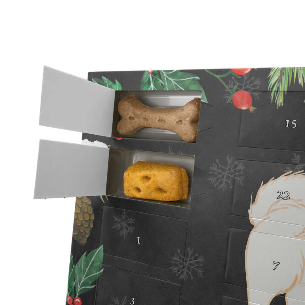 Hunde Adventskalender Havaneser Moment Hunde Adventskalender, Kalender, Adventskalender für Hunde, Weihnachtskalender, Geschenk, Schenken, Hund, Hunderasse, Rassehund, Hundebesitzer, Tierfreund, Welpe, Havaneser, Bichon Havanais, Bichón Habanero, Havi