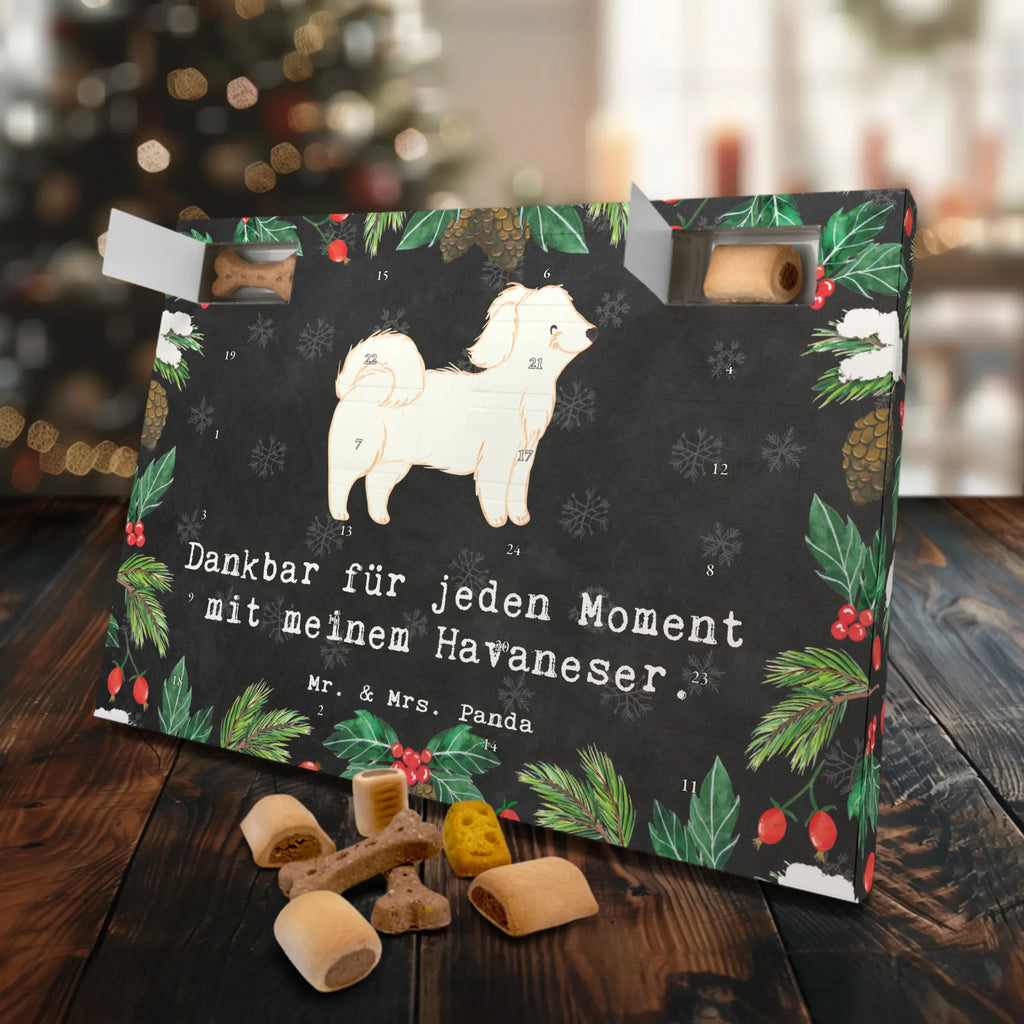 Hunde Adventskalender Havaneser Moment Hunde Adventskalender, Kalender, Adventskalender für Hunde, Weihnachtskalender, Geschenk, Schenken, Hund, Hunderasse, Rassehund, Hundebesitzer, Tierfreund, Welpe, Havaneser, Bichon Havanais, Bichón Habanero, Havi