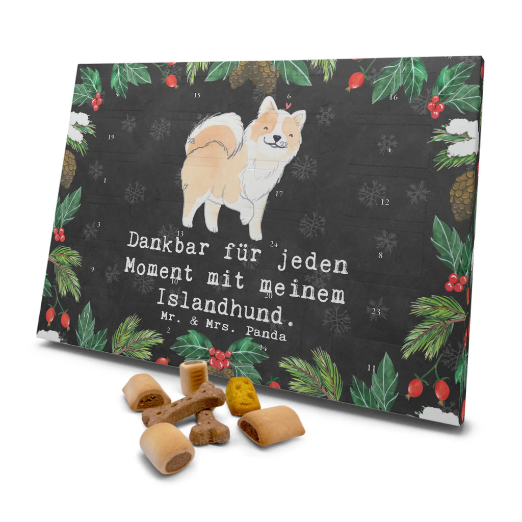 Hunde Adventskalender Islandhund Moment Hunde Adventskalender, Weihnachtskalender, Kalender, Adventskalender für Hunde, Geschenk, Schenken, Hund, Hunderasse, Rassehund, Hundebesitzer, Tierfreund, Welpe, Islandhund, Isländischer Schäferhund