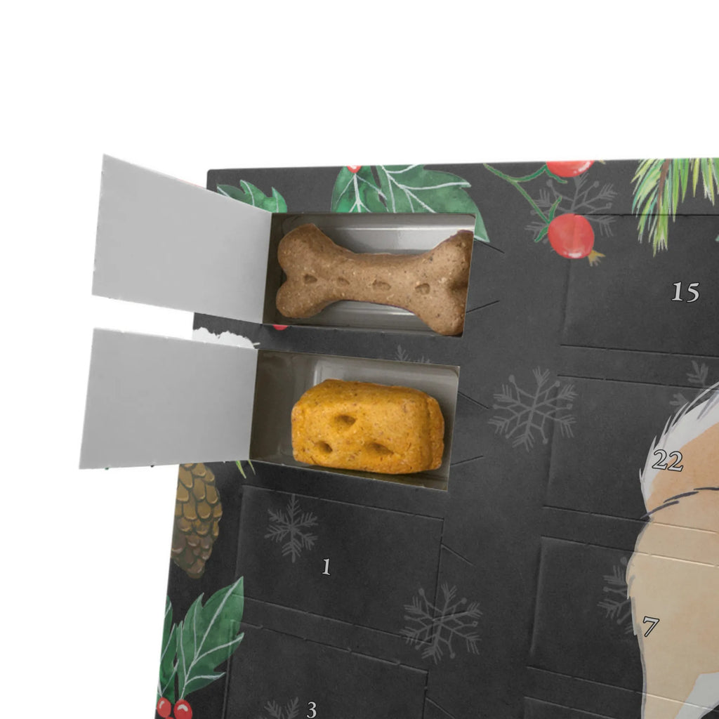 Hunde Adventskalender Islandhund Moment Hunde Adventskalender, Weihnachtskalender, Kalender, Adventskalender für Hunde, Geschenk, Schenken, Hund, Hunderasse, Rassehund, Hundebesitzer, Tierfreund, Welpe, Islandhund, Isländischer Schäferhund