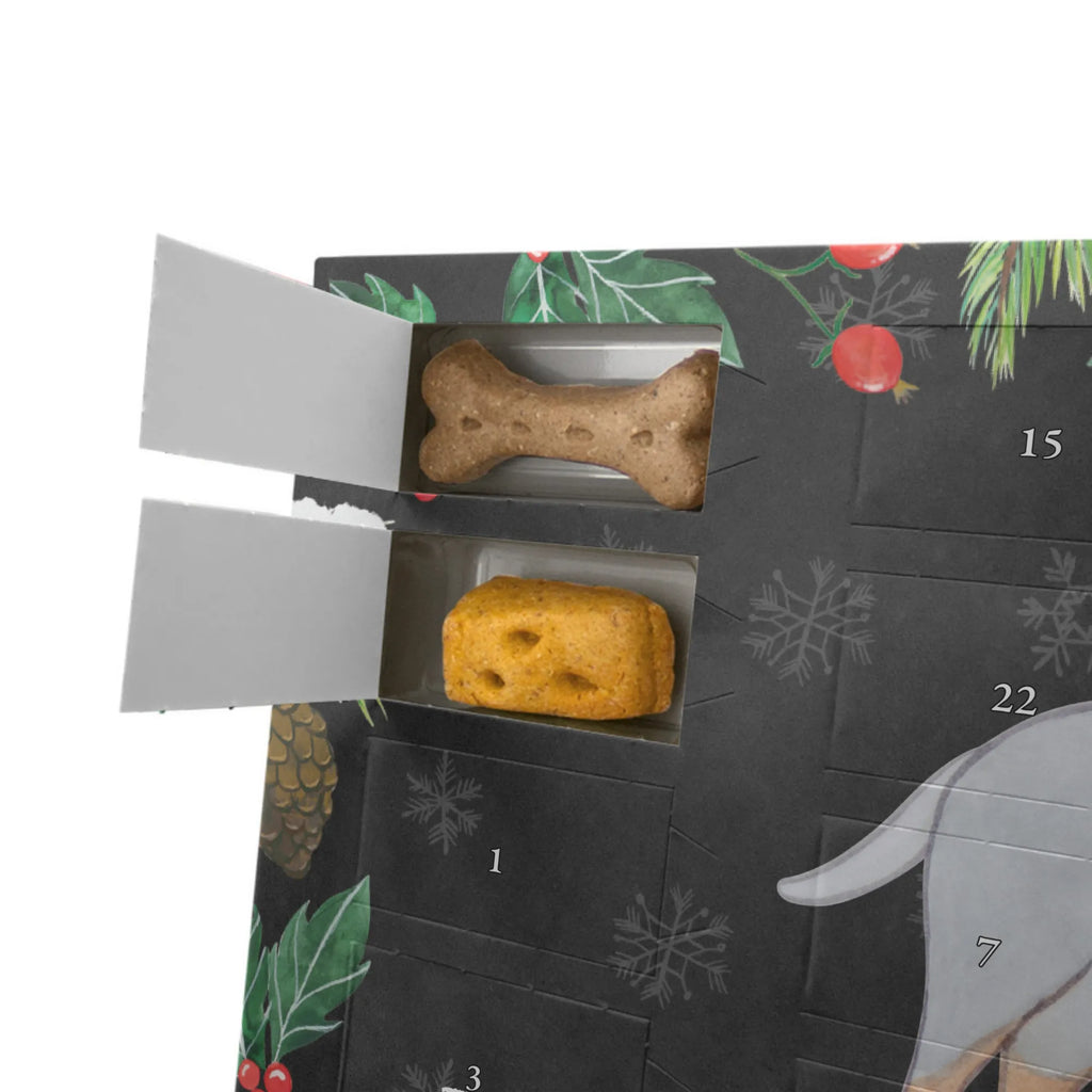 Hunde Adventskalender Manchester Terrier Moment Kalender, Hunde Adventskalender, Adventskalender für Hunde, Weihnachtskalender, Geschenk, Schenken, Hund, Hunderasse, Rassehund, Hundebesitzer, Tierfreund, Welpe, Manchester Terrier