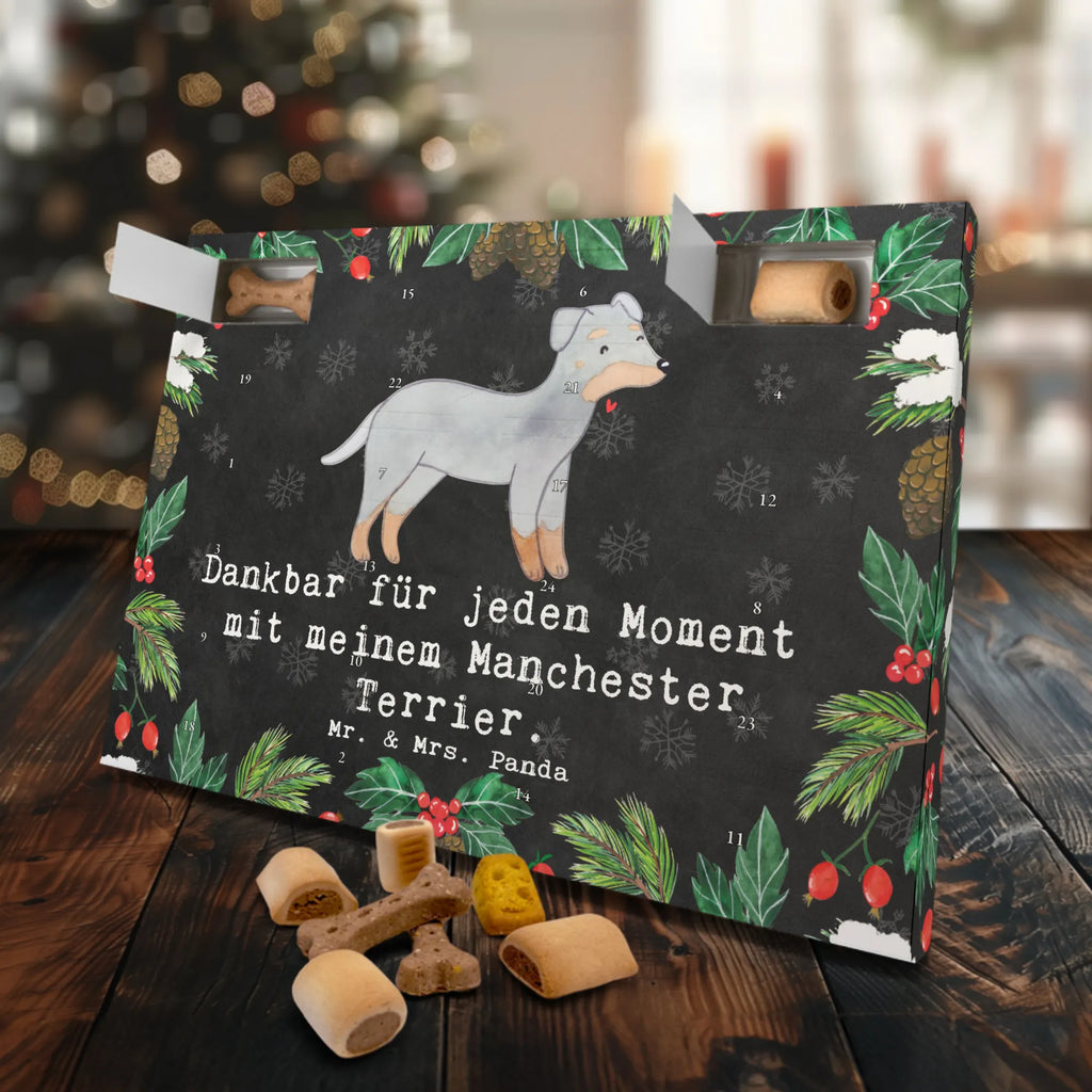 Hunde Adventskalender Manchester Terrier Moment Kalender, Hunde Adventskalender, Adventskalender für Hunde, Weihnachtskalender, Geschenk, Schenken, Hund, Hunderasse, Rassehund, Hundebesitzer, Tierfreund, Welpe, Manchester Terrier