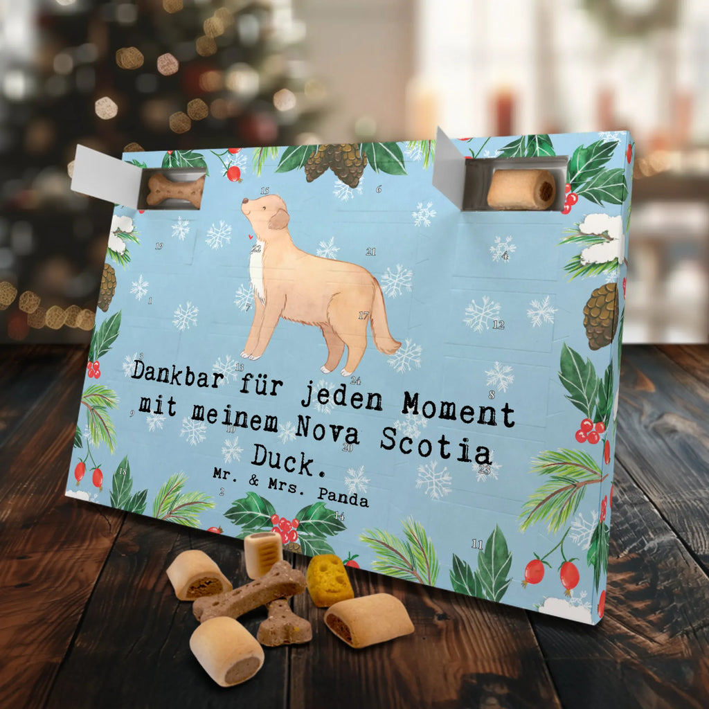 Hunde Adventskalender Nova Scotia Duck Moment Kalender, Weihnachtskalender, Hunde Adventskalender, Adventskalender für Hunde, Geschenk, Schenken, Hund, Hunderasse, Rassehund, Hundebesitzer, Tierfreund, Welpe, Nova Scotia Duck Tolling Retriever, Retriever