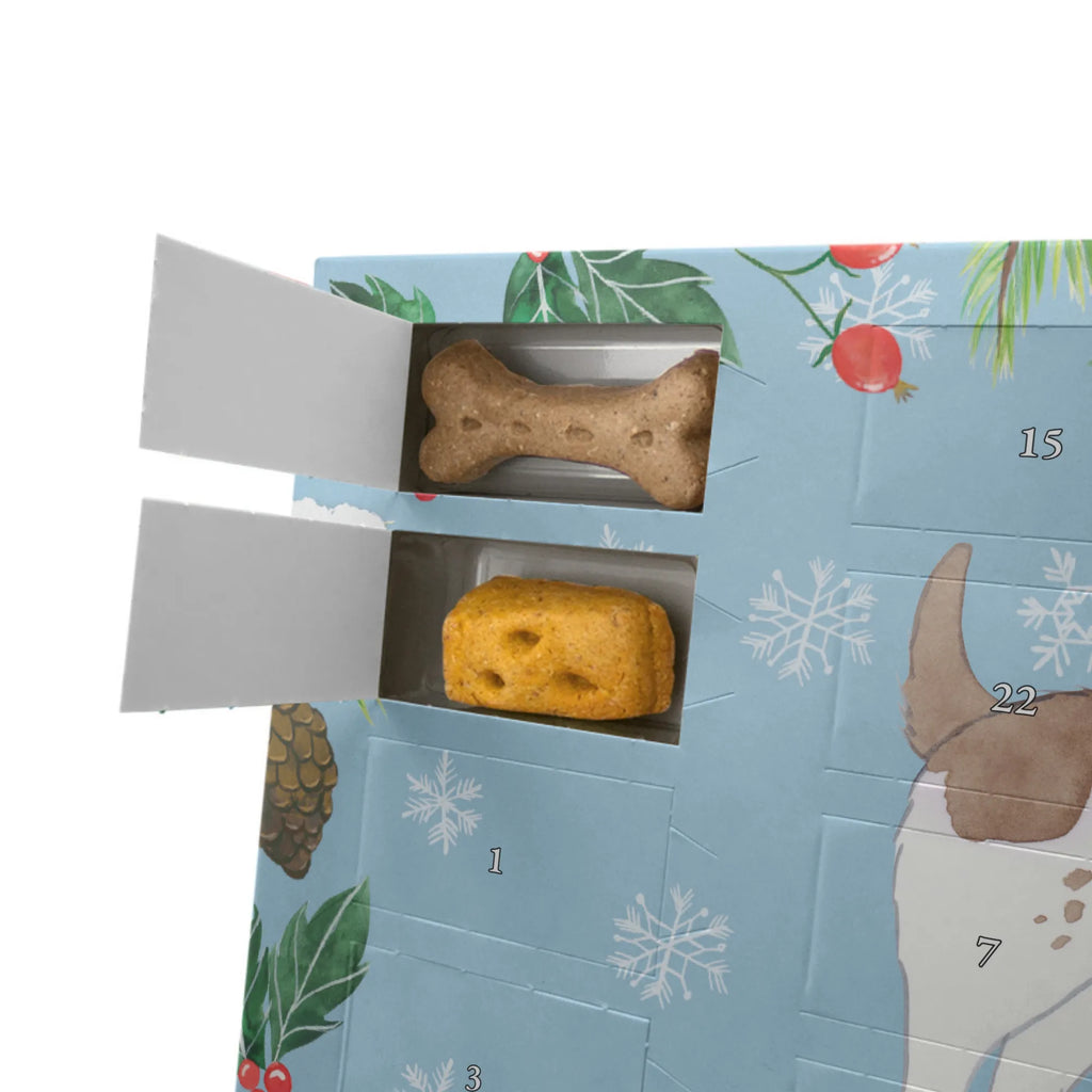Hunde Adventskalender English Springer Spaniel Moment Hunde Adventskalender, Weihnachtskalender, Kalender, Adventskalender für Hunde, Geschenk, Schenken, Hund, Hunderasse, Rassehund, Hundebesitzer, Tierfreund, Welpe, English Springer Spaniel