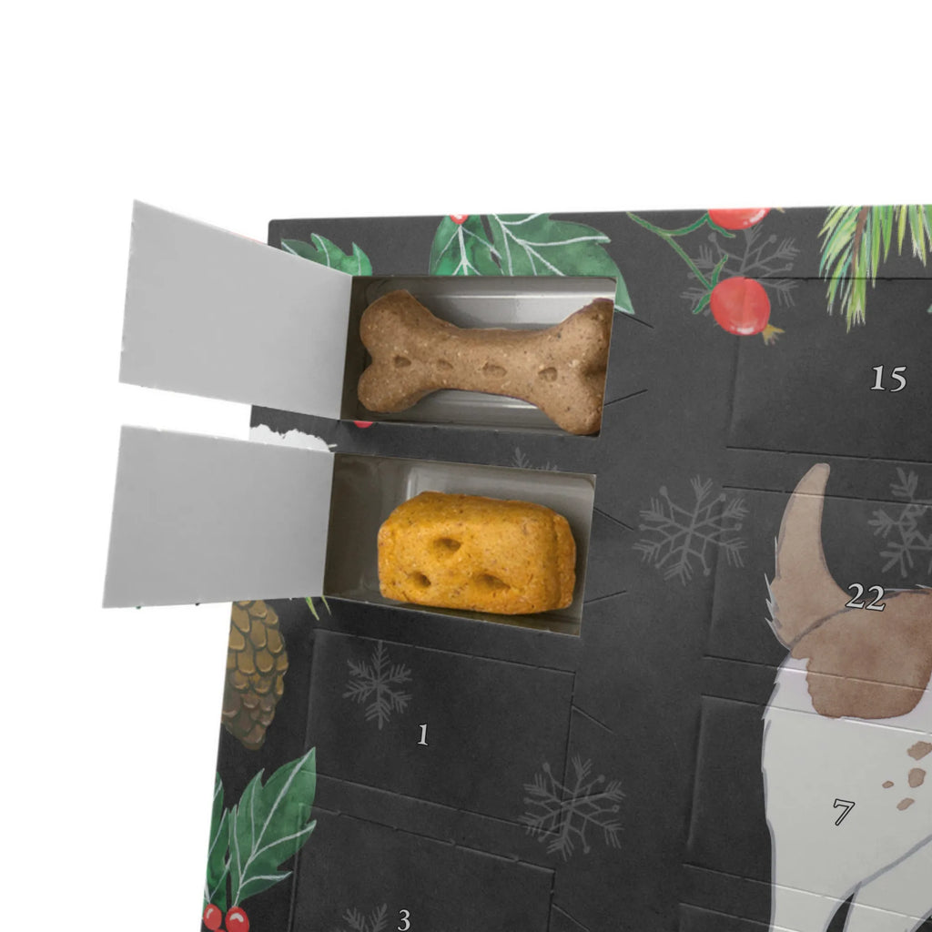 Hunde Adventskalender English Springer Spaniel Moment Hunde Adventskalender, Weihnachtskalender, Kalender, Adventskalender für Hunde, Geschenk, Schenken, Hund, Hunderasse, Rassehund, Hundebesitzer, Tierfreund, Welpe, English Springer Spaniel