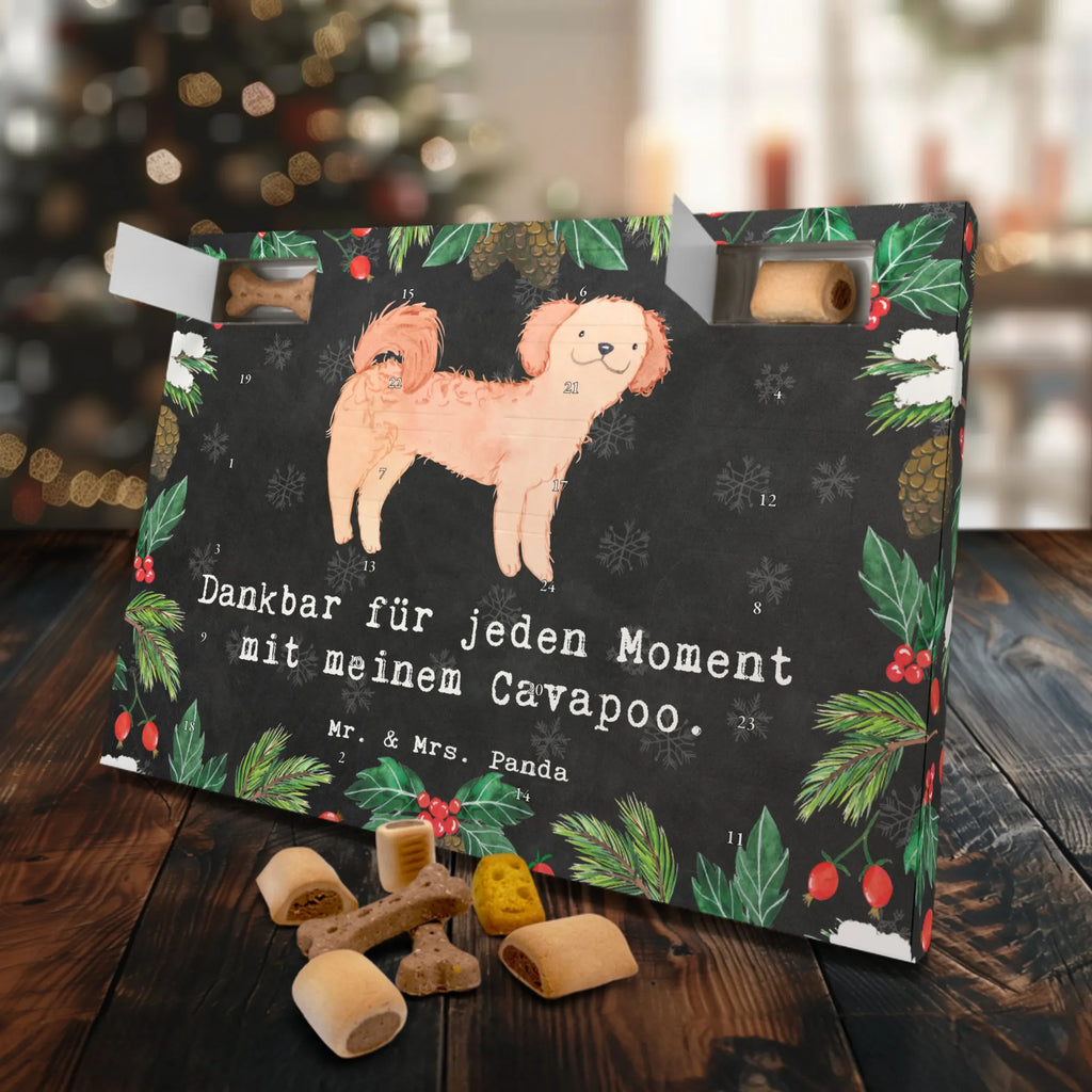 Hunde Adventskalender Cavapoo Moment Weihnachtskalender, Hunde Adventskalender, Kalender, Adventskalender für Hunde, Geschenk, Schenken, Hund, Hunderasse, Rassehund, Hundebesitzer, Tierfreund, Welpe, Cavapoo, Cavoodle