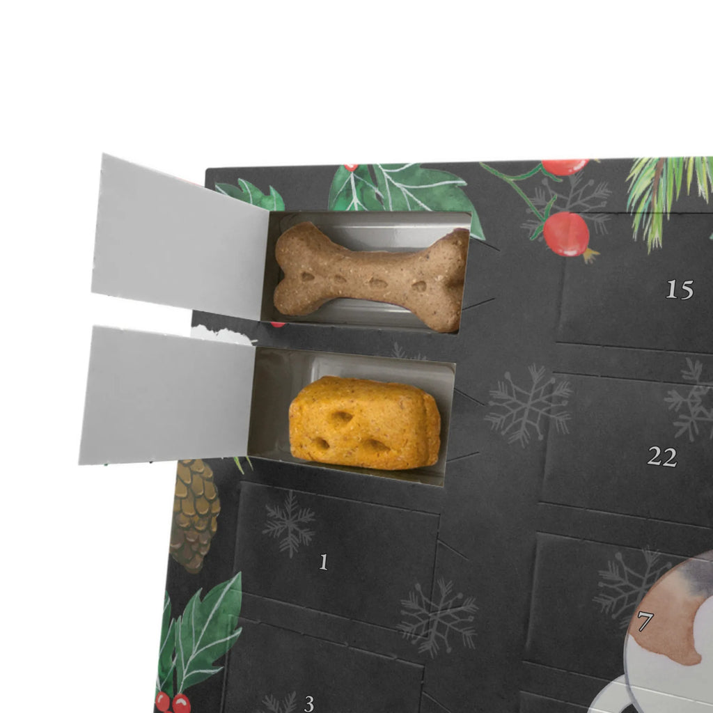 Hunde Adventskalender Foxhound Moment Adventskalender für Hunde, Kalender, Hunde Adventskalender, Weihnachtskalender, Geschenk, Schenken, Hund, Hunderasse, Rassehund, Hundebesitzer, Tierfreund, Welpe, Foxhound, Jagdhund, Laufhund