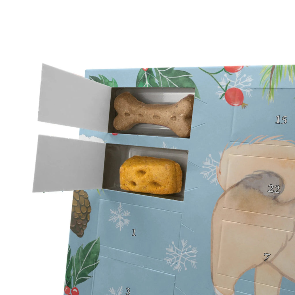Dog advent calendar Pekingese moment Dogs Advent Calendar, Calendar, Pets, Christmas, Christmas Calendar, 2019, Dog, dog breed, purebred dog, dog owner, gift, animal lover, giving, puppy