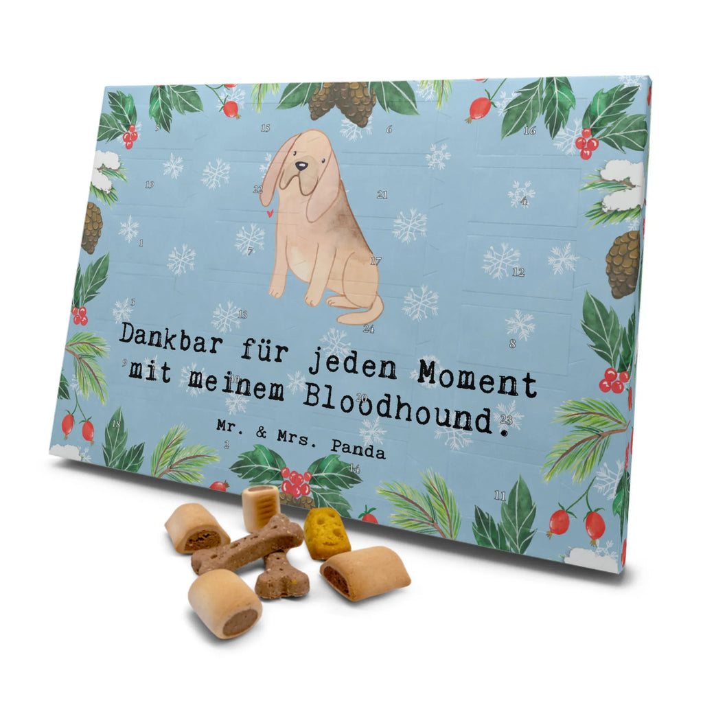 Hunde Adventskalender Bloodhound Moment Weihnachtskalender, Hunde Adventskalender, Adventskalender für Hunde, Kalender, Geschenk, Schenken, Hund, Hunderasse, Rassehund, Hundebesitzer, Tierfreund, Welpe, Chien De Saint Hubert, St. Hubertushund, Bloodhound, Bluthund