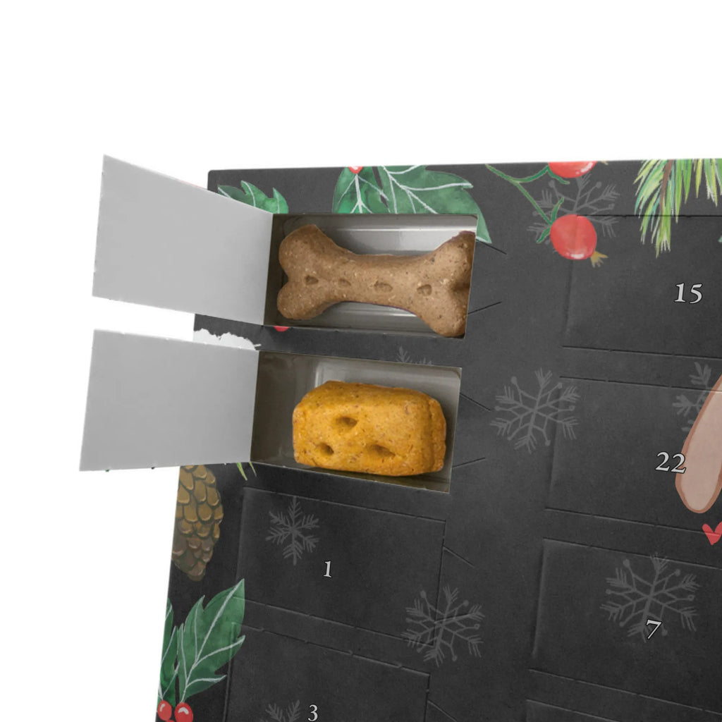 Hunde Adventskalender Bloodhound Moment Weihnachtskalender, Hunde Adventskalender, Adventskalender für Hunde, Kalender, Geschenk, Schenken, Hund, Hunderasse, Rassehund, Hundebesitzer, Tierfreund, Welpe, Chien De Saint Hubert, St. Hubertushund, Bloodhound, Bluthund