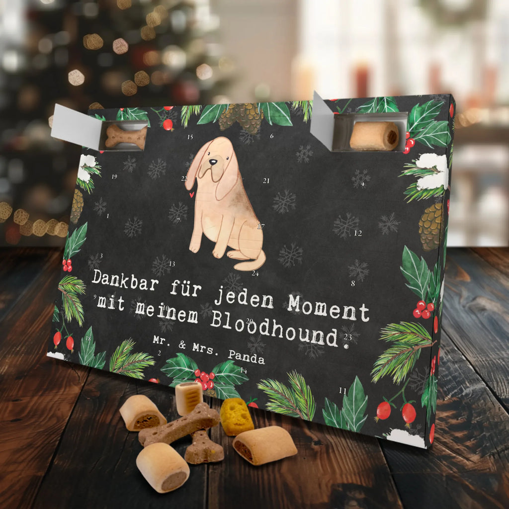 Hunde Adventskalender Bloodhound Moment Weihnachtskalender, Hunde Adventskalender, Adventskalender für Hunde, Kalender, Geschenk, Schenken, Hund, Hunderasse, Rassehund, Hundebesitzer, Tierfreund, Welpe, Chien De Saint Hubert, St. Hubertushund, Bloodhound, Bluthund