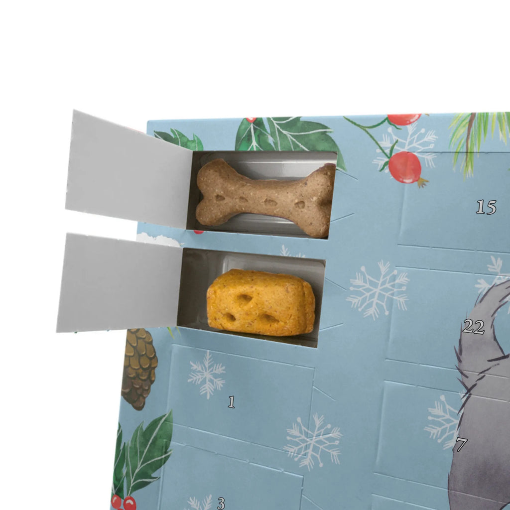 Hunde Adventskalender Affenpincher Moment Hunde Adventskalender, Kalender, Weihnachtskalender, Adventskalender für Hunde, Geschenk, Schenken, Hund, Hunderasse, Rassehund, Hundebesitzer, Tierfreund, Welpe, Affenpincher