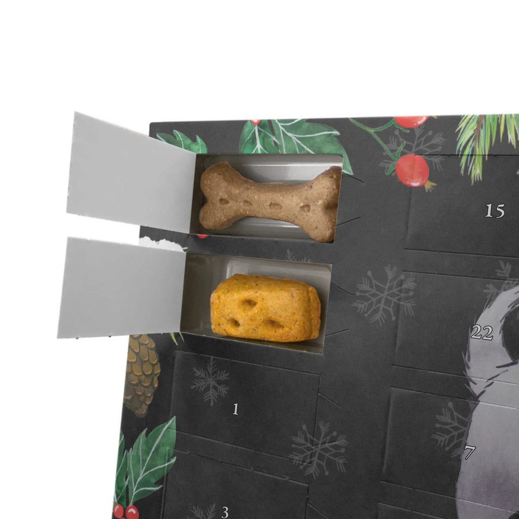 Hunde Adventskalender Affenpincher Moment Hunde Adventskalender, Kalender, Weihnachtskalender, Adventskalender für Hunde, Geschenk, Schenken, Hund, Hunderasse, Rassehund, Hundebesitzer, Tierfreund, Welpe, Affenpincher