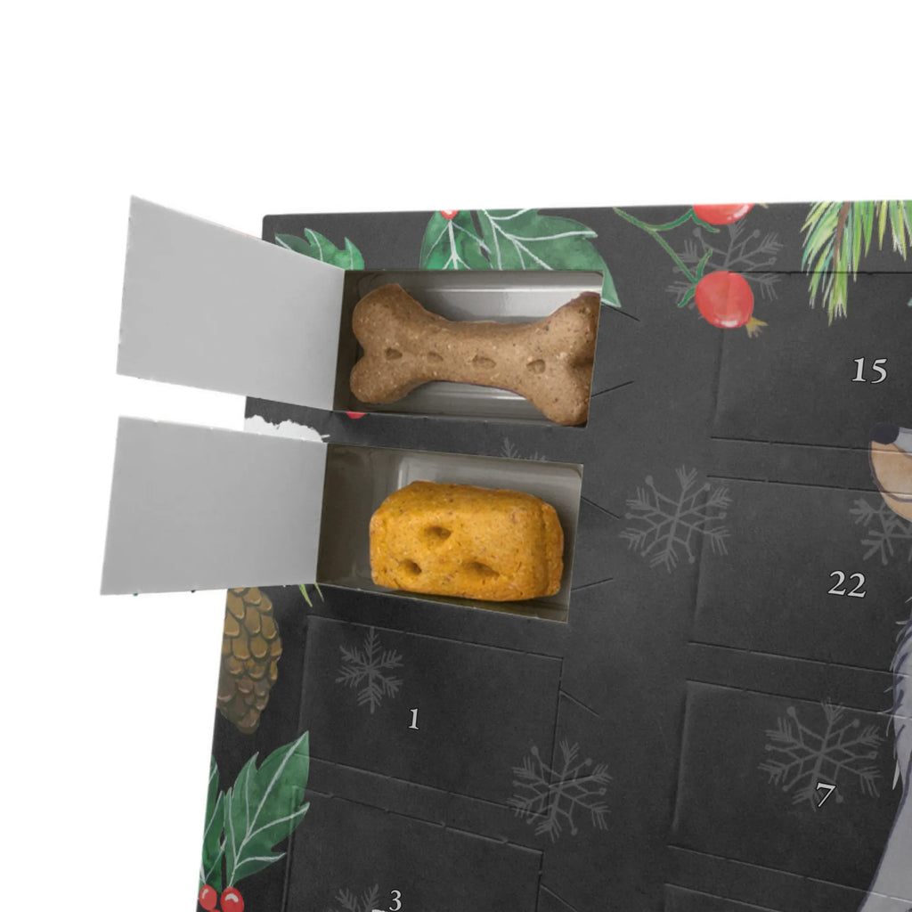 Dog advent calendar Gordon Setter Moment Dogs Advent Calendar, Calendar, Pets, Christmas Calendar, Christmas, 2019, Dog, dog breed, purebred dog, dog owner, gift, animal lover, giving, puppy