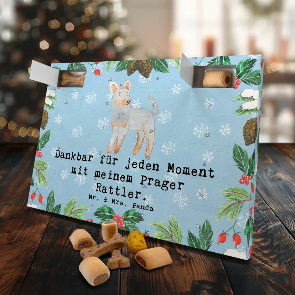 Hunde Adventskalender Prager Rattler Moment Adventskalender für Hunde, Kalender, Weihnachtskalender, Hunde Adventskalender, Geschenk, Schenken, Hund, Hunderasse, Rassehund, Hundebesitzer, Tierfreund, Welpe, Pincher, Prager Rattler