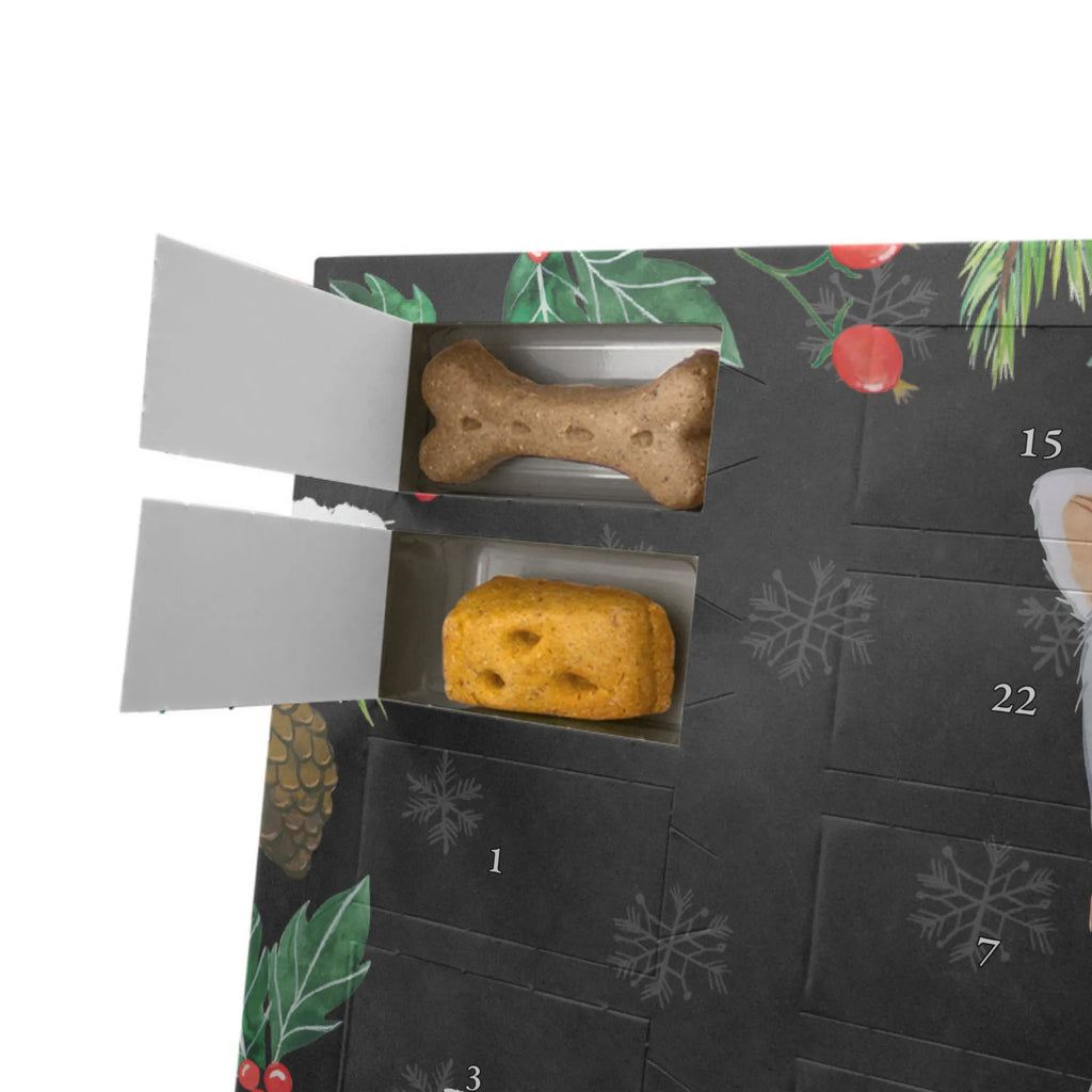 Hunde Adventskalender Prager Rattler Moment Adventskalender für Hunde, Kalender, Weihnachtskalender, Hunde Adventskalender, Geschenk, Schenken, Hund, Hunderasse, Rassehund, Hundebesitzer, Tierfreund, Welpe, Pincher, Prager Rattler