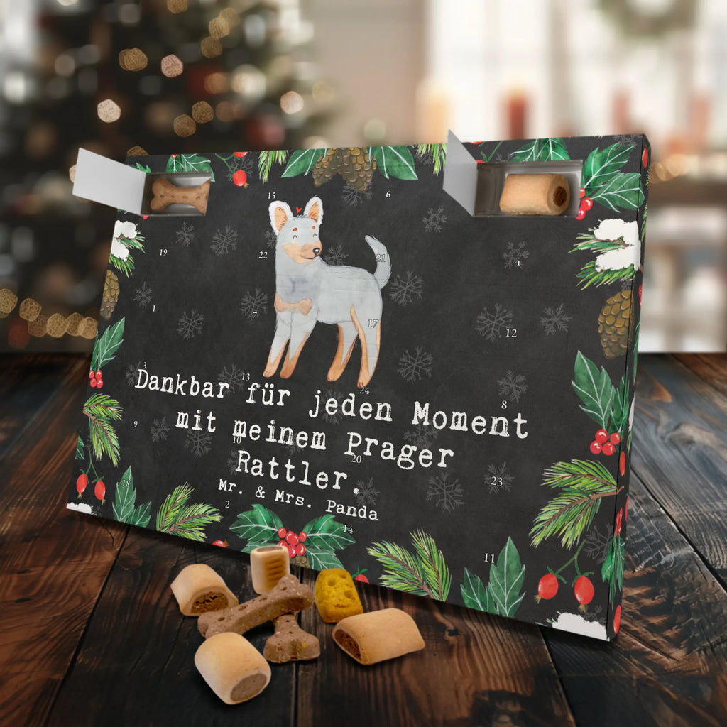 Hunde Adventskalender Prager Rattler Moment Adventskalender für Hunde, Kalender, Weihnachtskalender, Hunde Adventskalender, Geschenk, Schenken, Hund, Hunderasse, Rassehund, Hundebesitzer, Tierfreund, Welpe, Pincher, Prager Rattler