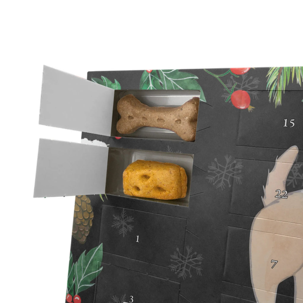 Hunde Adventskalender Border Terrier Moment Adventskalender für Hunde, Hunde Adventskalender, Weihnachtskalender, Kalender, Geschenk, Tierfreund, Rassehund, Hunderasse, Schenken, Welpe, Hundebesitzer, Hund, Border Terrier