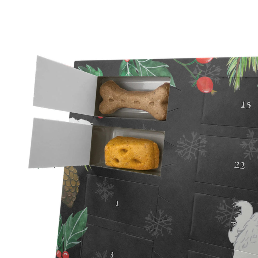  Bichon Frise Chwila Pies, rasa psa, pies rasowy, właściciel psa, prezent, miłośnik zwierząt, dawanie, szczeniak