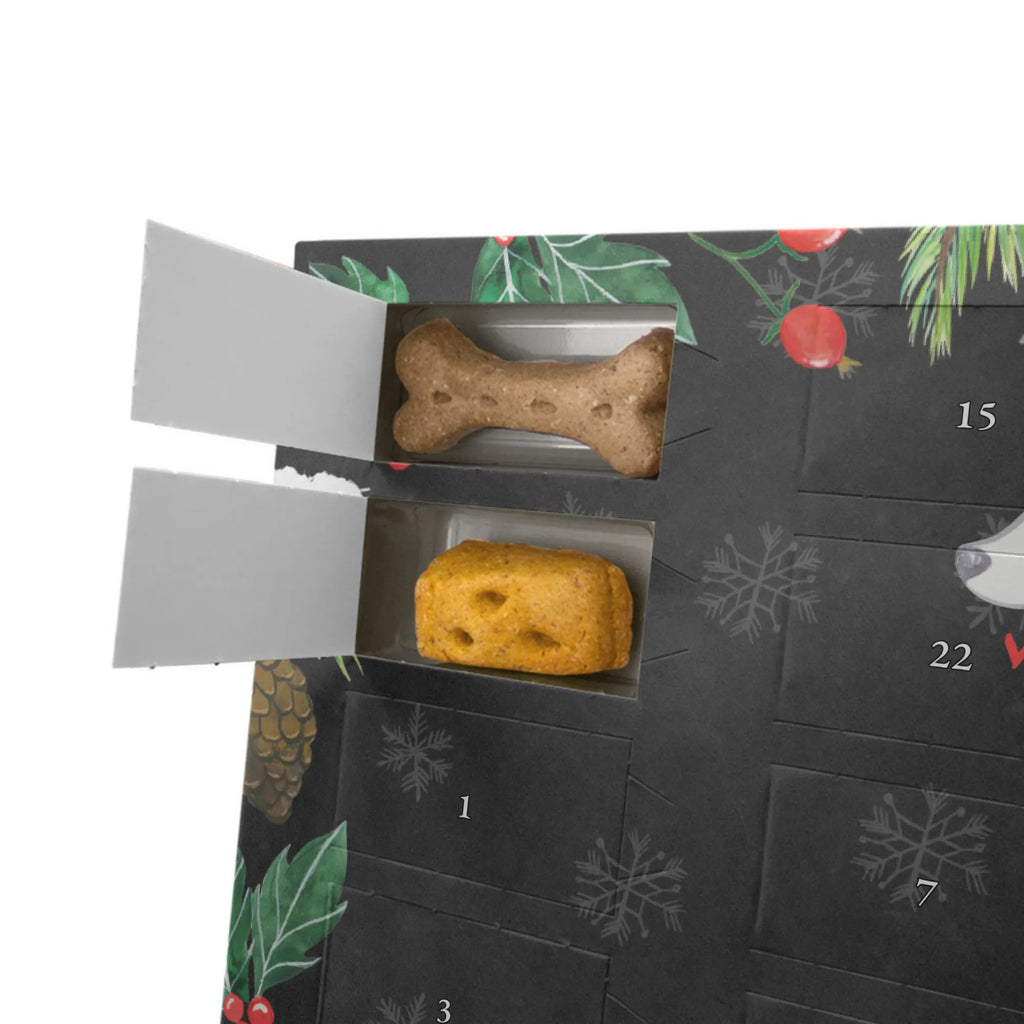 Hunde Adventskalender Labrador Moment Kalender, Hunde Adventskalender, Weihnachtskalender, Adventskalender für Hunde, Geschenk, Schenken, Hund, Hunderasse, Rassehund, Hundebesitzer, Tierfreund, Welpe, Labrador