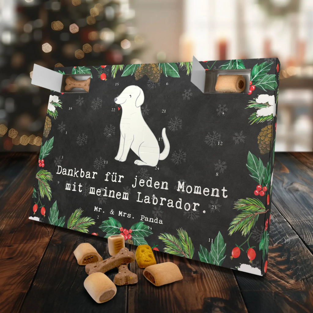 Hunde Adventskalender Labrador Moment Kalender, Hunde Adventskalender, Weihnachtskalender, Adventskalender für Hunde, Geschenk, Schenken, Hund, Hunderasse, Rassehund, Hundebesitzer, Tierfreund, Welpe, Labrador