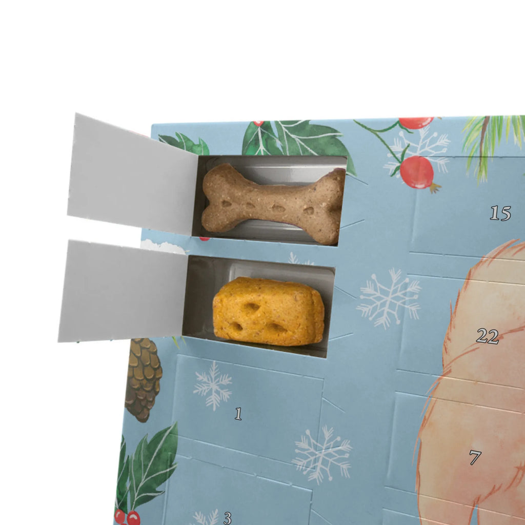 Hunde Adventskalender Chow-Chow Moment Hunde Adventskalender, Kalender, Adventskalender für Hunde, Weihnachtskalender, Geschenk, Schenken, Hund, Hunderasse, Rassehund, Hundebesitzer, Tierfreund, Welpe, Asiatischer Spitz, Chow-Chow