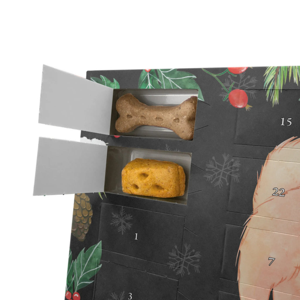 Hunde Adventskalender Chow-Chow Moment Hunde Adventskalender, Kalender, Adventskalender für Hunde, Weihnachtskalender, Geschenk, Schenken, Hund, Hunderasse, Rassehund, Hundebesitzer, Tierfreund, Welpe, Asiatischer Spitz, Chow-Chow