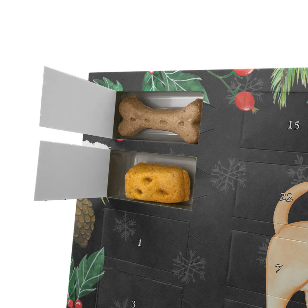 Hunde Adventskalender Chihuahua Moment Kalender, Hunde Adventskalender, Adventskalender für Hunde, Weihnachtskalender, Geschenk, Schenken, Hund, Hunderasse, Rassehund, Hundebesitzer, Tierfreund, Welpe, Chihuahua