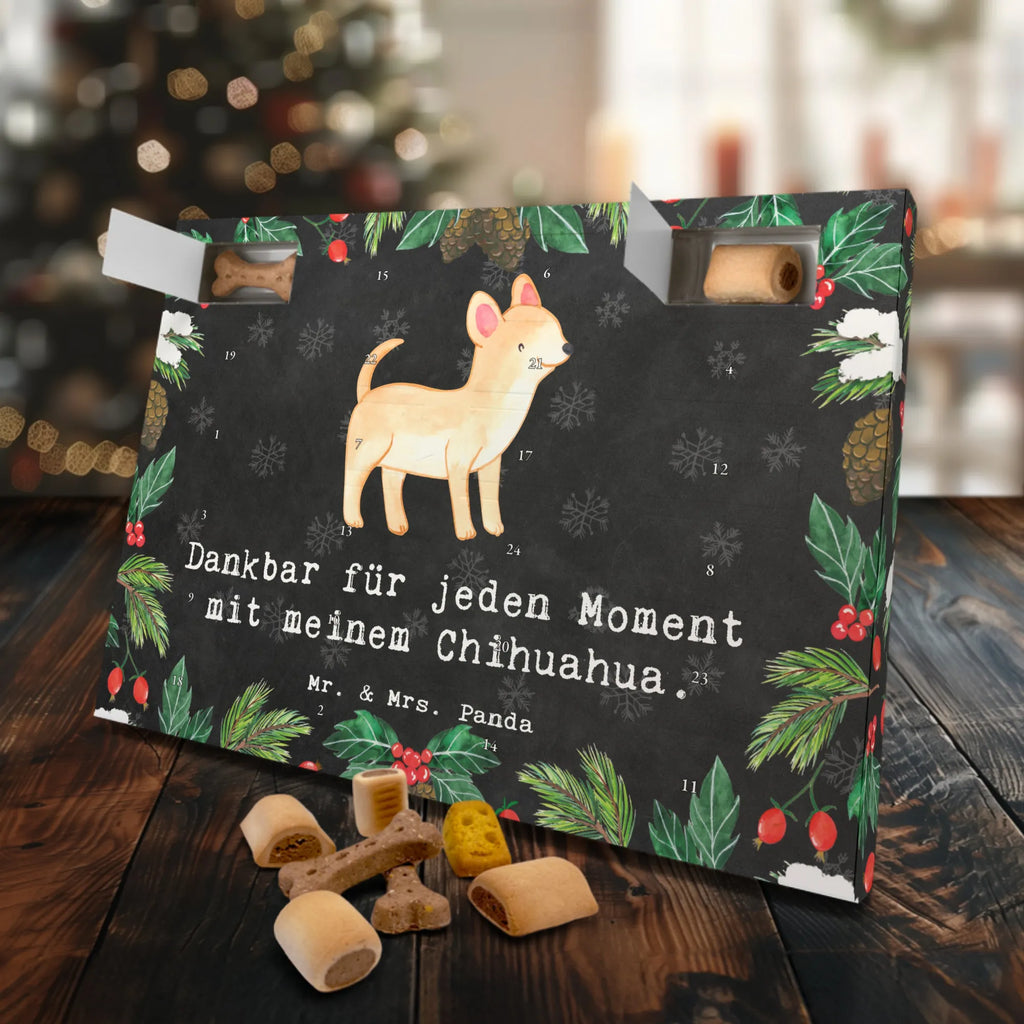 Hunde Adventskalender Chihuahua Moment Kalender, Hunde Adventskalender, Adventskalender für Hunde, Weihnachtskalender, Geschenk, Schenken, Hund, Hunderasse, Rassehund, Hundebesitzer, Tierfreund, Welpe, Chihuahua