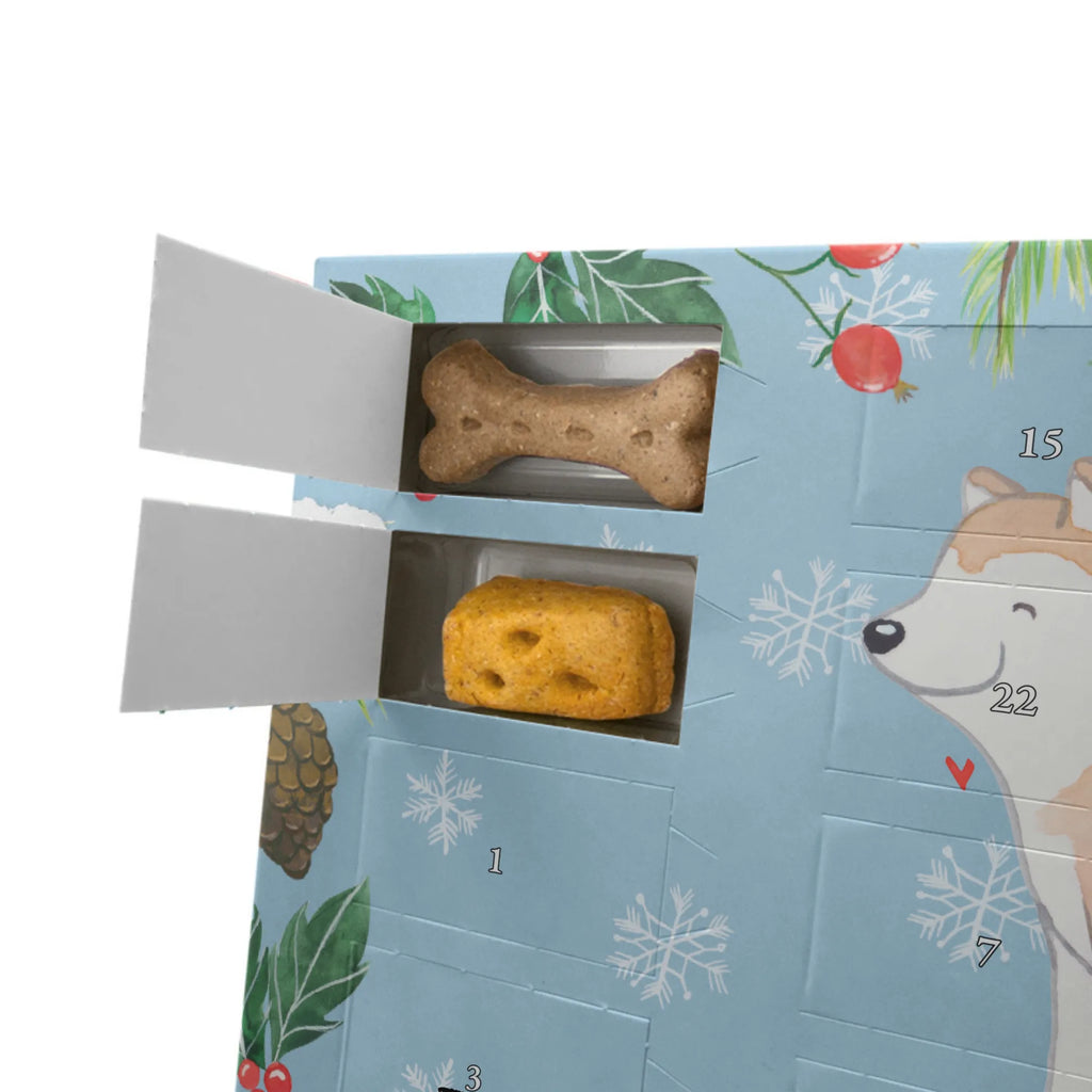 Hunde Adventskalender Akita Inu Moment Adventskalender für Hunde, Kalender, Hunde Adventskalender, Weihnachtskalender, Geschenk, Schenken, Hund, Hunderasse, Rassehund, Hundebesitzer, Tierfreund, Welpe, Akita Inu, Japanischer Akita, Akita Ken, Akita-Inu