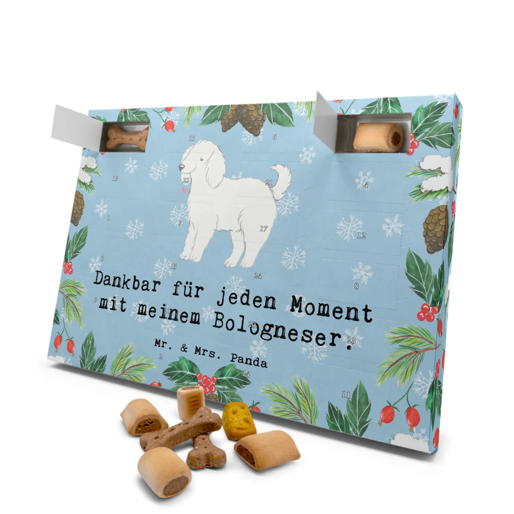 Hunde Adventskalender Bologneser Moment Hunde Adventskalender, Weihnachtskalender, Adventskalender für Hunde, Kalender, Geschenk, Schenken, Hund, Hunderasse, Rassehund, Hundebesitzer, Tierfreund, Welpe, Bologneser