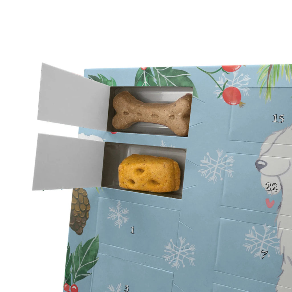 Hunde Adventskalender Bologneser Moment Hunde Adventskalender, Weihnachtskalender, Adventskalender für Hunde, Kalender, Geschenk, Schenken, Hund, Hunderasse, Rassehund, Hundebesitzer, Tierfreund, Welpe, Bologneser