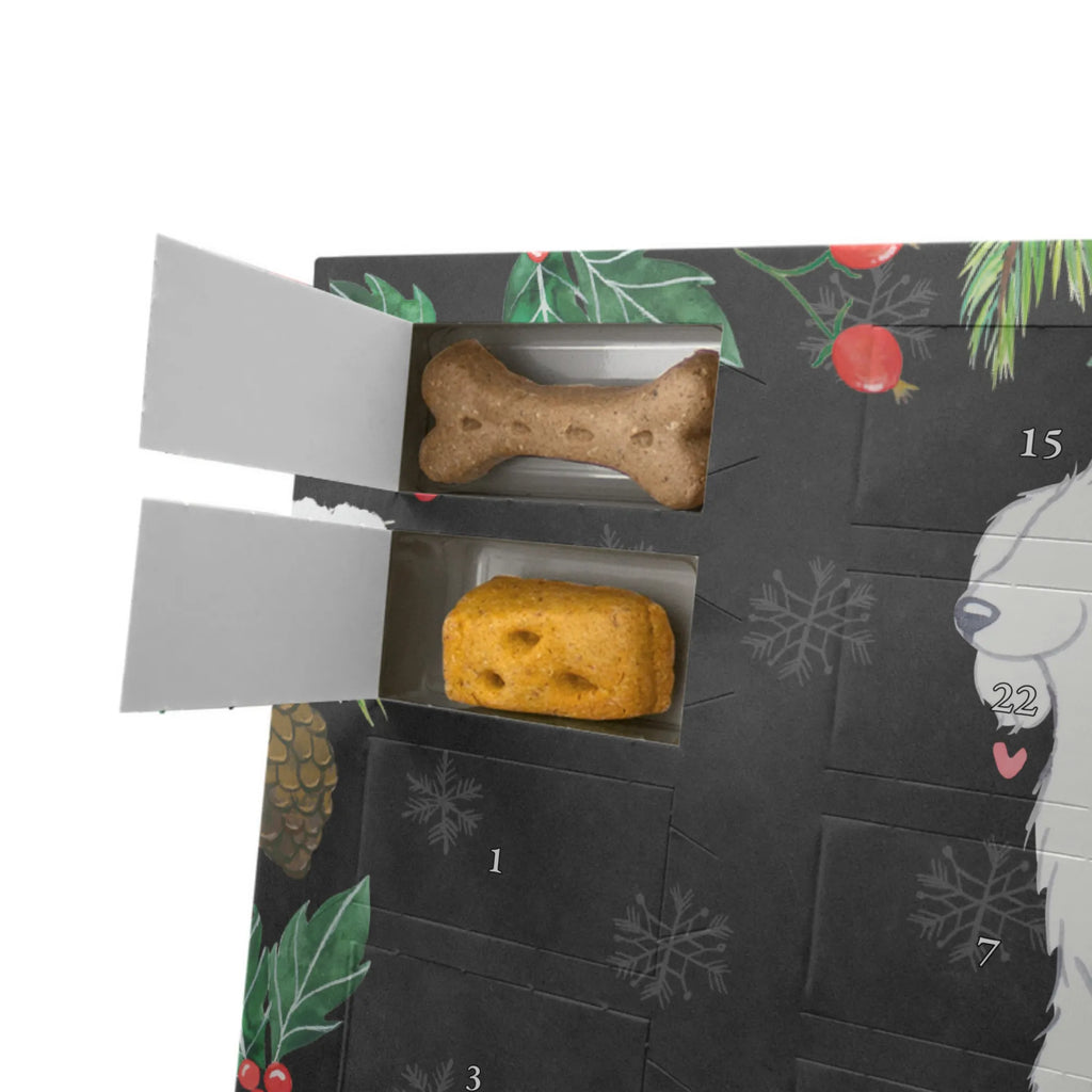 Hunde Adventskalender Bologneser Moment Hunde Adventskalender, Weihnachtskalender, Adventskalender für Hunde, Kalender, Geschenk, Schenken, Hund, Hunderasse, Rassehund, Hundebesitzer, Tierfreund, Welpe, Bologneser
