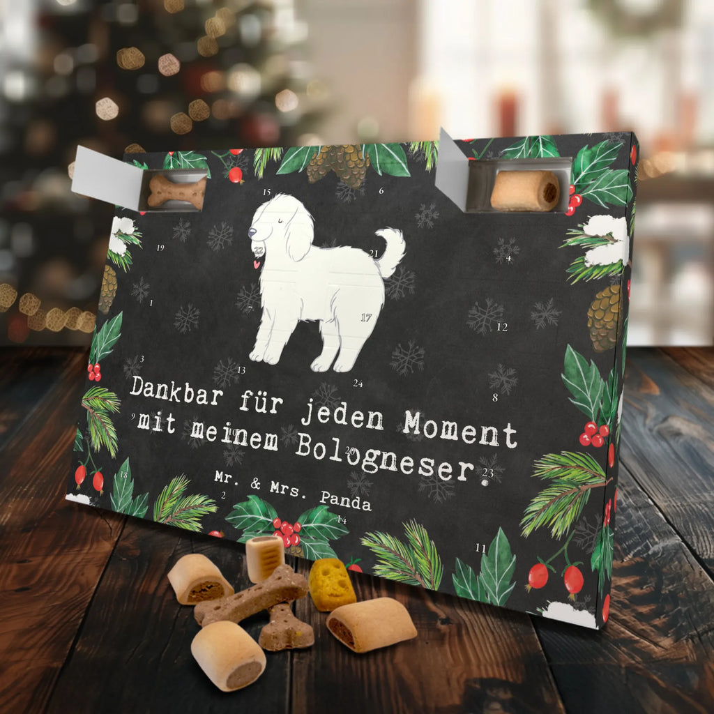 Hunde Adventskalender Bologneser Moment Hunde Adventskalender, Weihnachtskalender, Adventskalender für Hunde, Kalender, Geschenk, Schenken, Hund, Hunderasse, Rassehund, Hundebesitzer, Tierfreund, Welpe, Bologneser