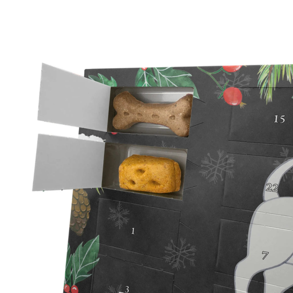 Hunde Adventskalender Bullterrier Moment Kalender, Adventskalender für Hunde, Weihnachtskalender, Hunde Adventskalender, Geschenk, Schenken, Hund, Hunderasse, Rassehund, Hundebesitzer, Tierfreund, Welpe, Bullterrier