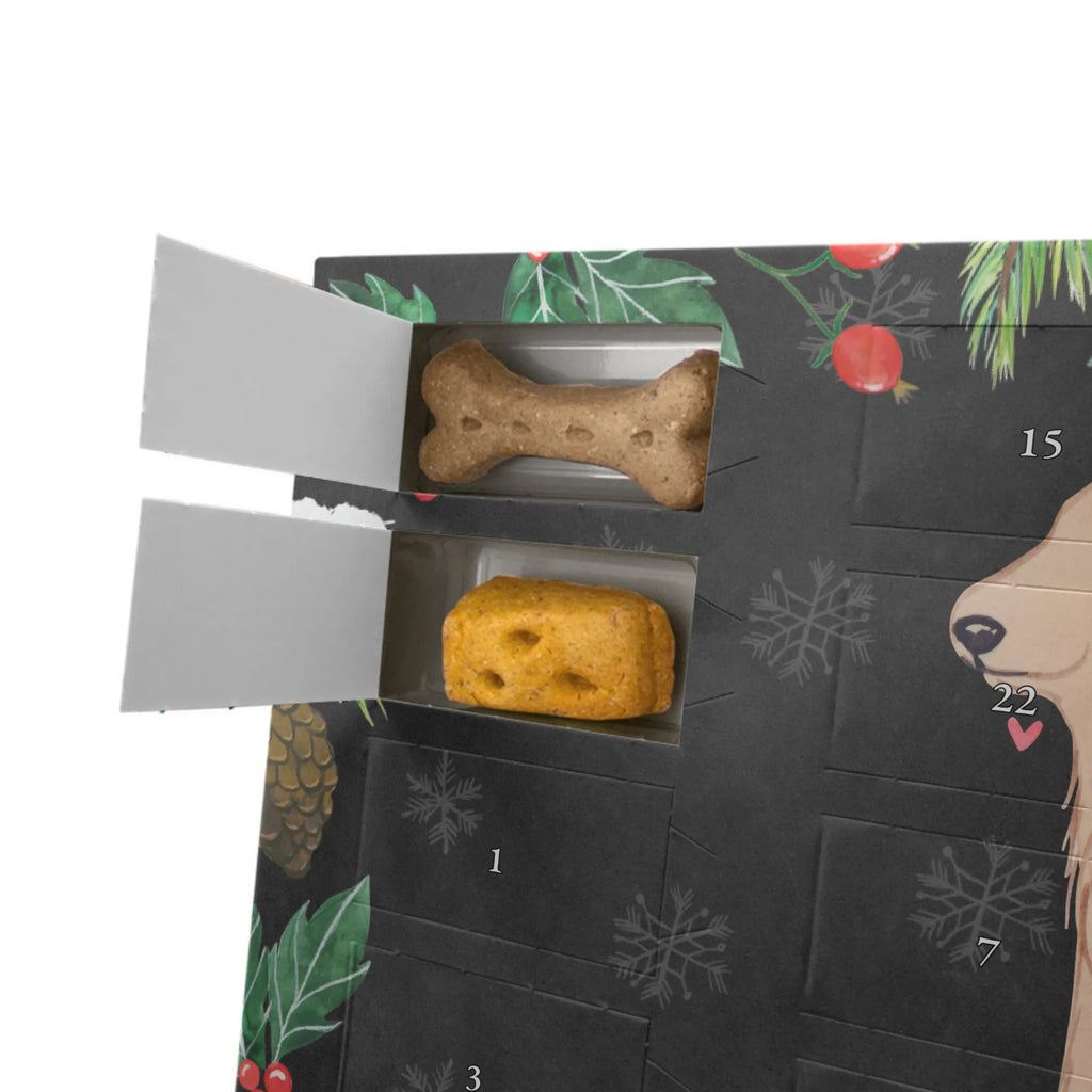 Hunde Adventskalender Cocker Spaniel Moment Weihnachtskalender, Hunde Adventskalender, Kalender, Adventskalender für Hunde, Geschenk, Schenken, Hund, Hunderasse, Rassehund, Hundebesitzer, Tierfreund, Welpe, Cocker Spaniel, Englische Cockerspaniel