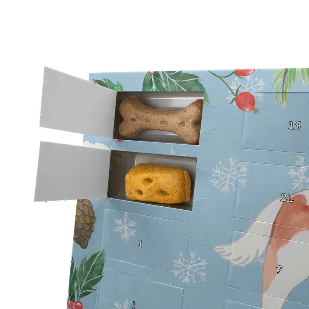 Hunde Adventskalender Cavalier King Charles Spaniel Moment Adventskalender für Hunde, Kalender, Weihnachtskalender, Hunde Adventskalender, Geschenk, Schenken, Hund, Hunderasse, Rassehund, Hundebesitzer, Tierfreund, Welpe, Cavalier King Charles Spaniel